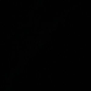 Meet your Posher, King